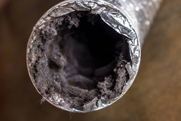 Best Commercial HVAC Duct Cleaning  in Walton, KY