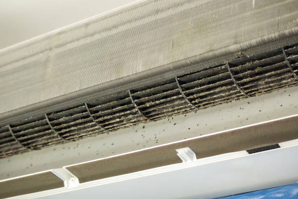 Best Air Duct Cleaning Cost  in Walton, KY